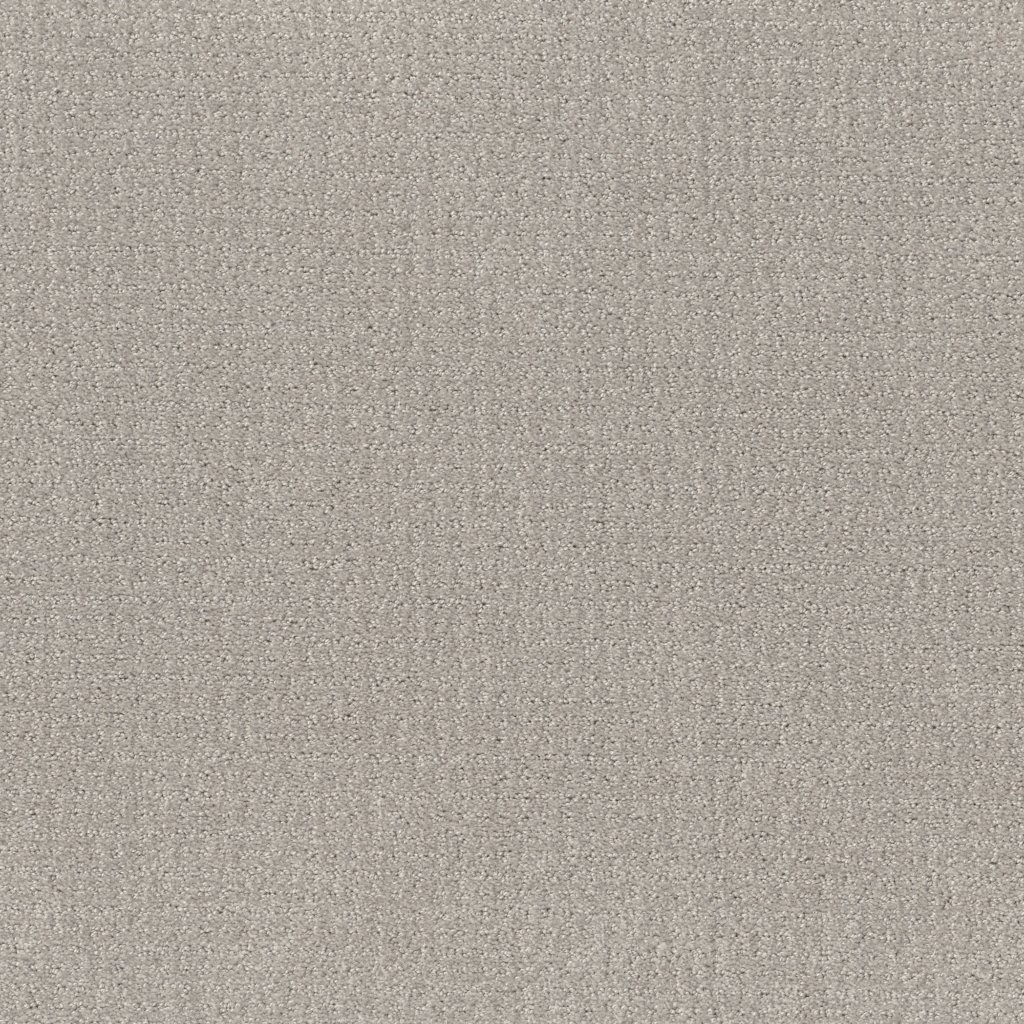 Shaw Floors Translate - Feather