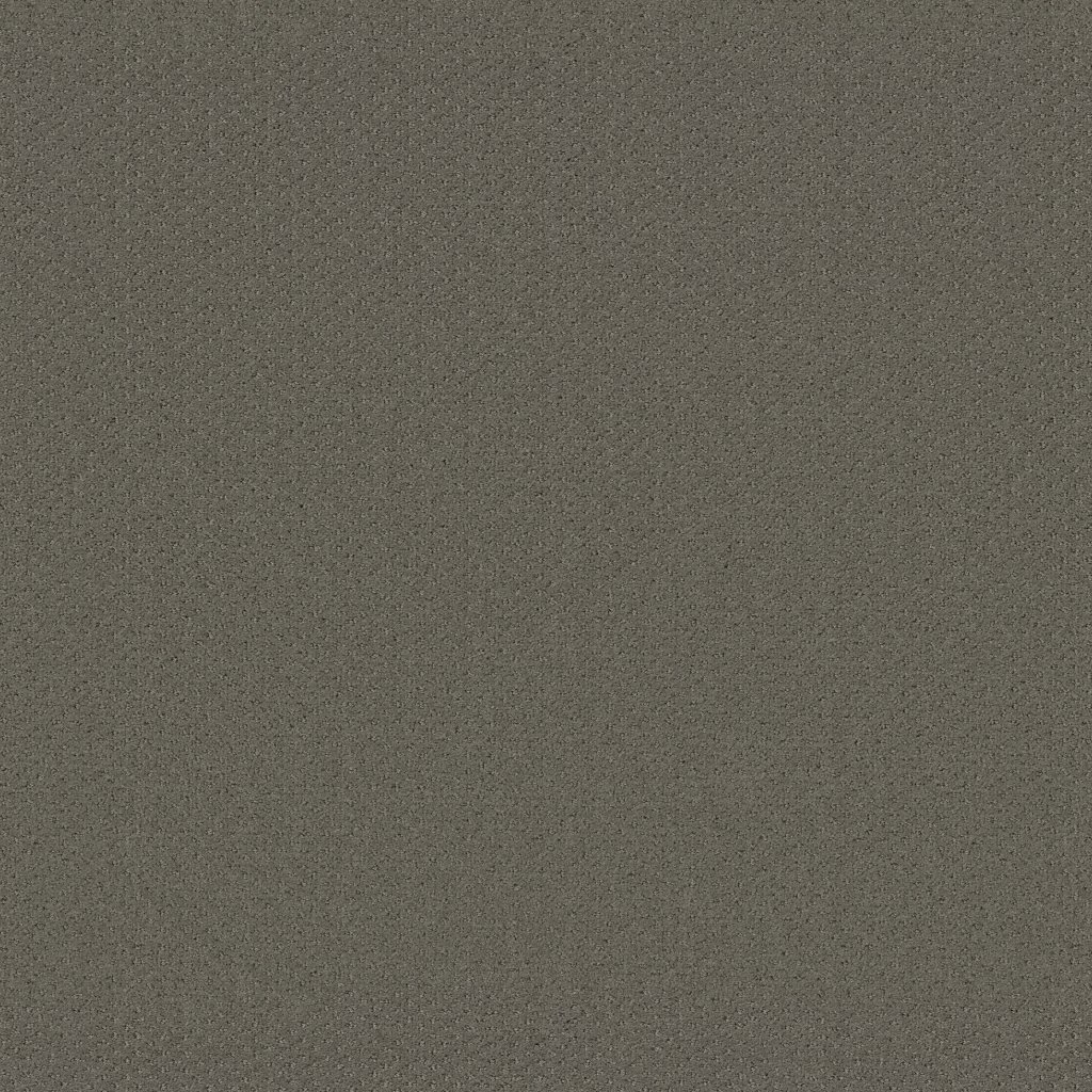 Shaw Floors Genesis - Pewter