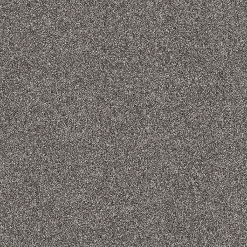 Shaw Floors Grand Outlook - Aircraft