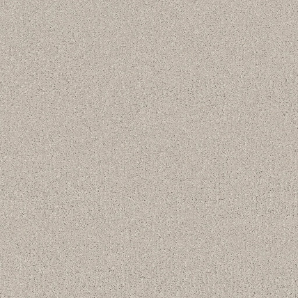 Shaw Floors Crafted Tone - Cool Winter