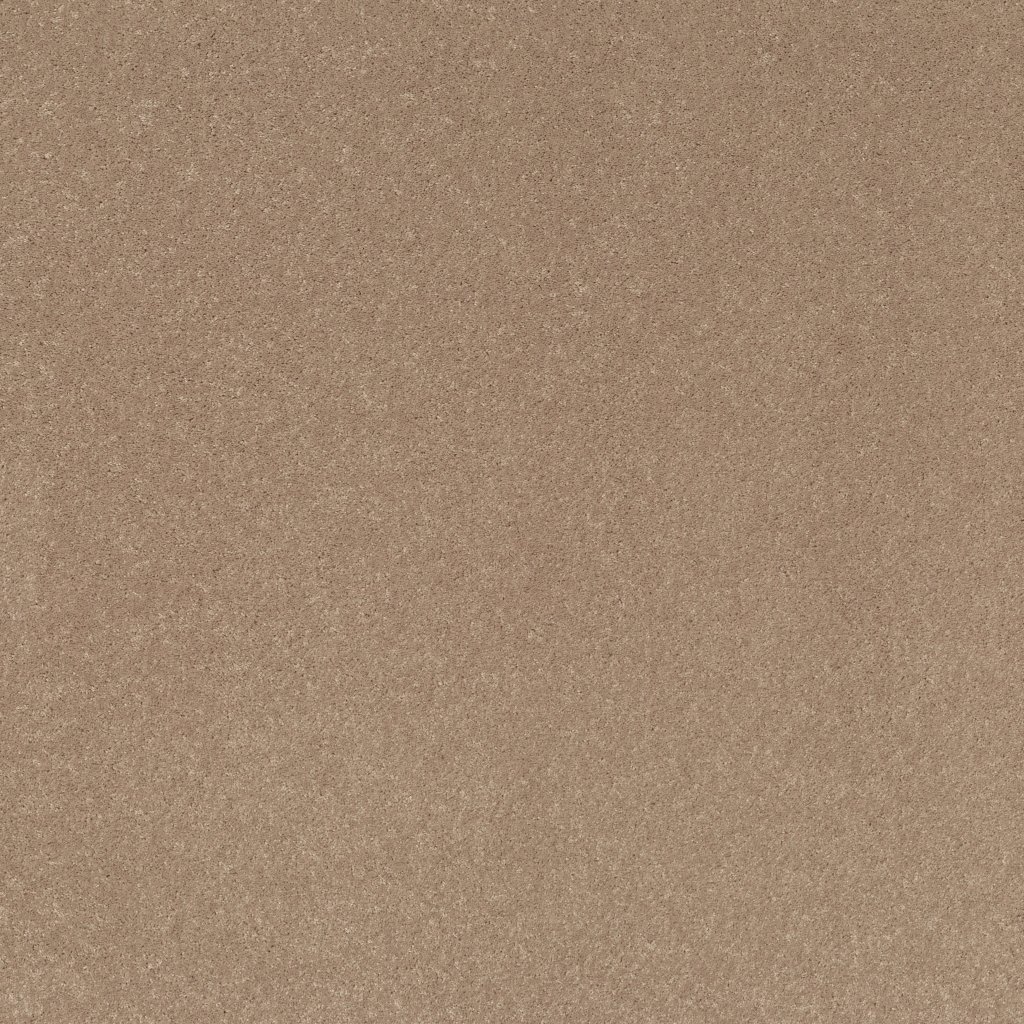 Shaw Floors Well Played I 15' - Natural Beige
