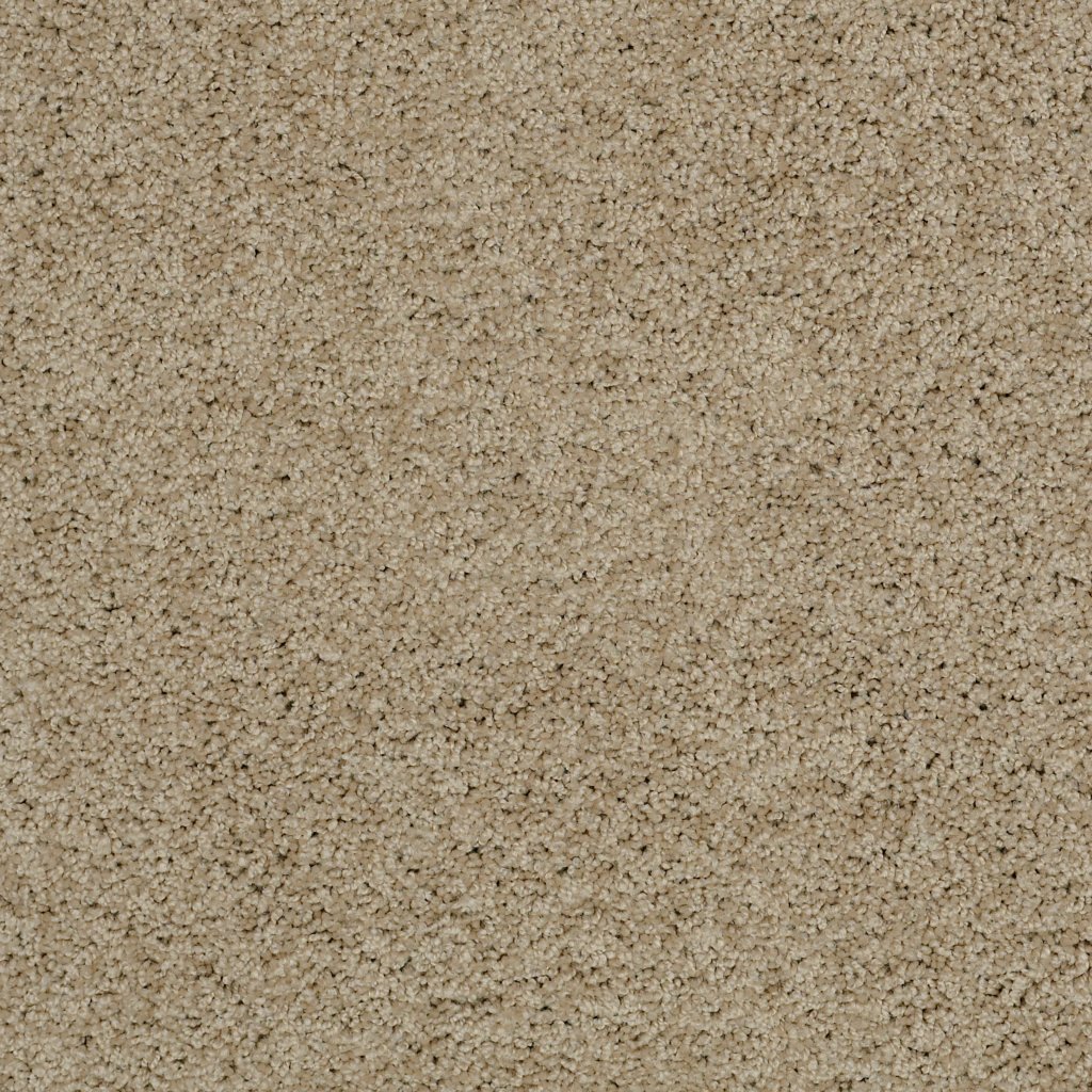 Shaw Floors Inspired By Ii - Clay Stone