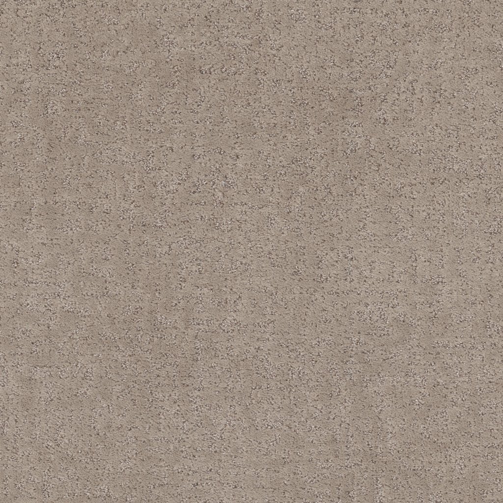 Shaw Floors Home Within - Chic Greige