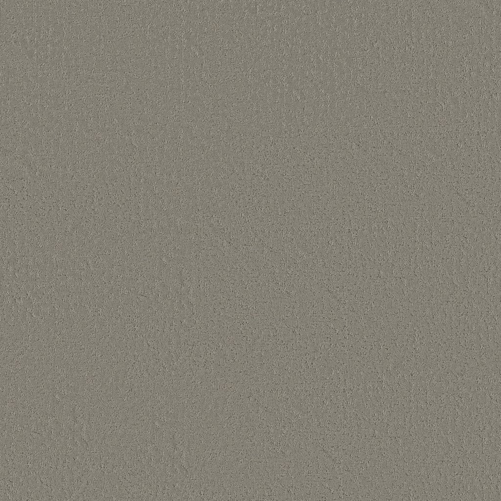 Shaw Floors Crafted Tone - Driftwood