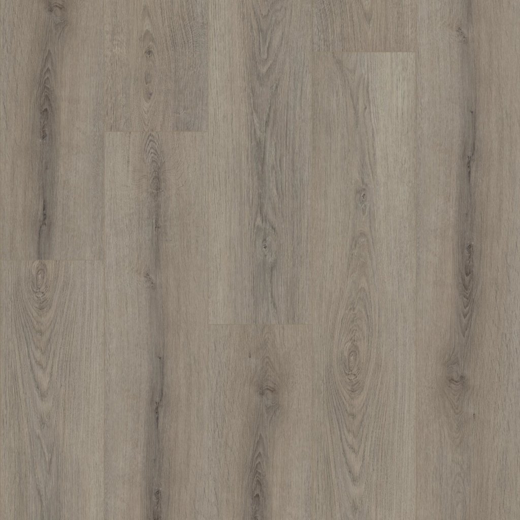 Shaw Floors Paladin Plus - Ashen Brown