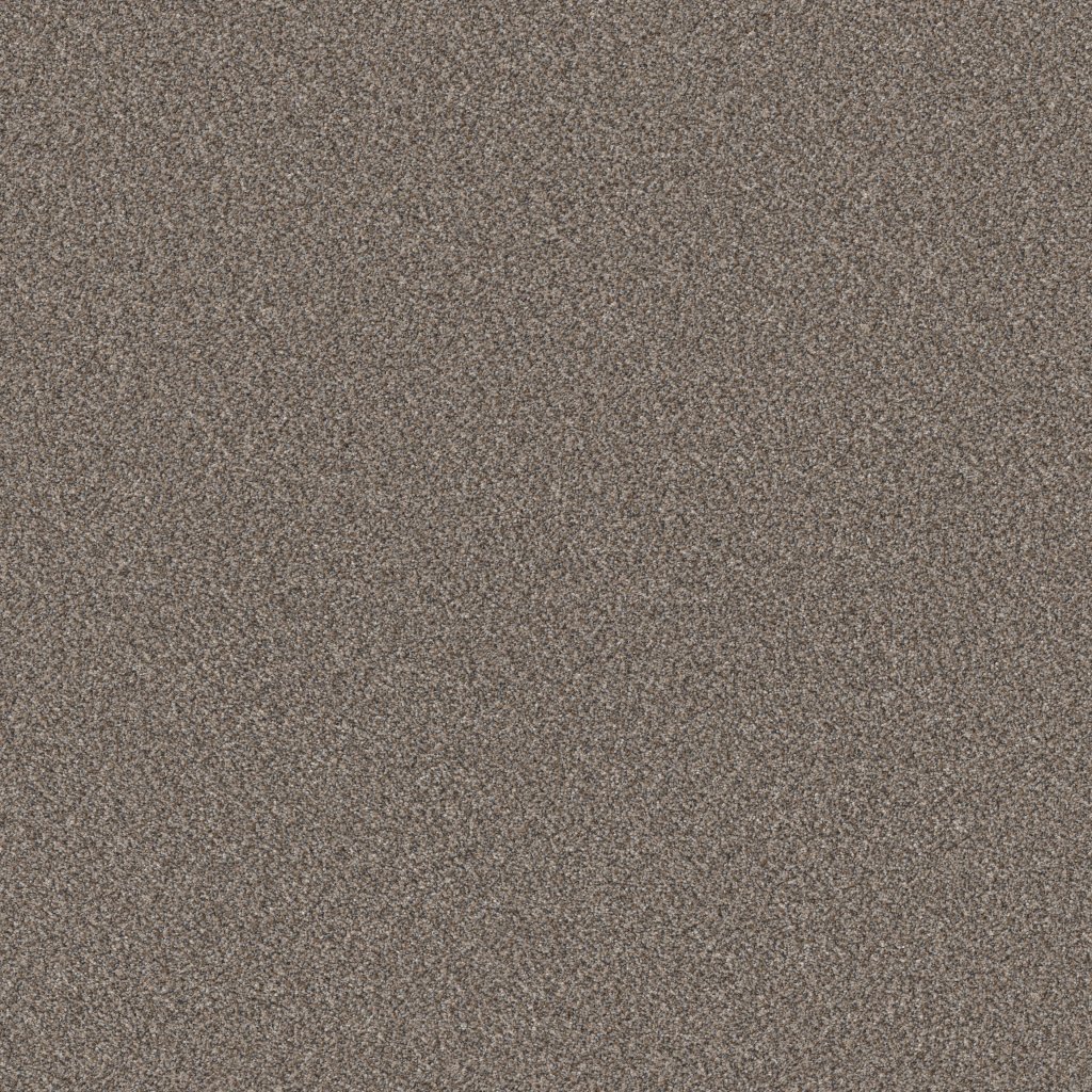 Shaw Floors Truspirit II - Cobble Drive