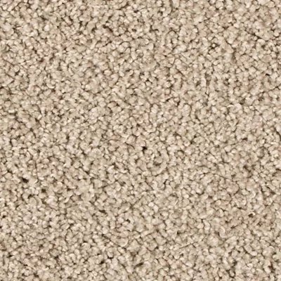 Mohawk Assorted Elements II - Taupe Shadow