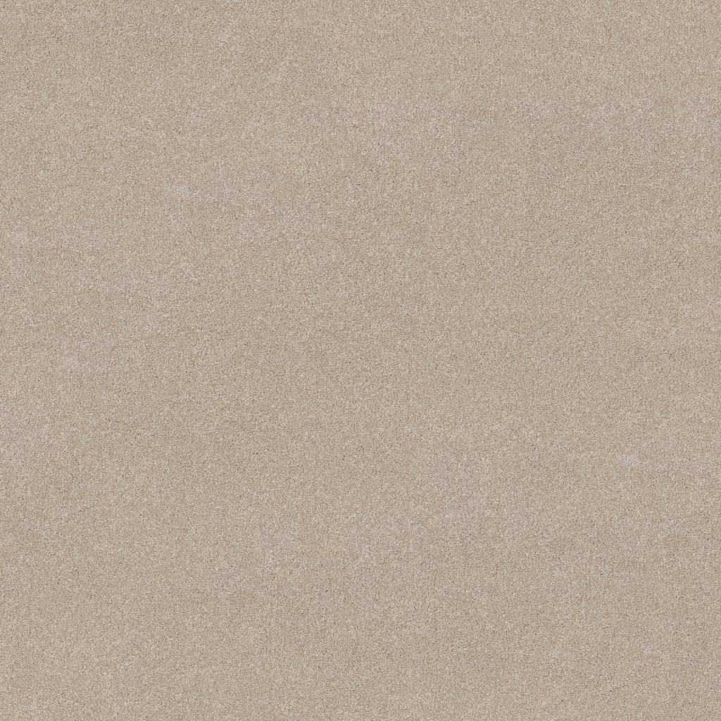 Shaw Floors Vivid Touch II - Cafe Latte