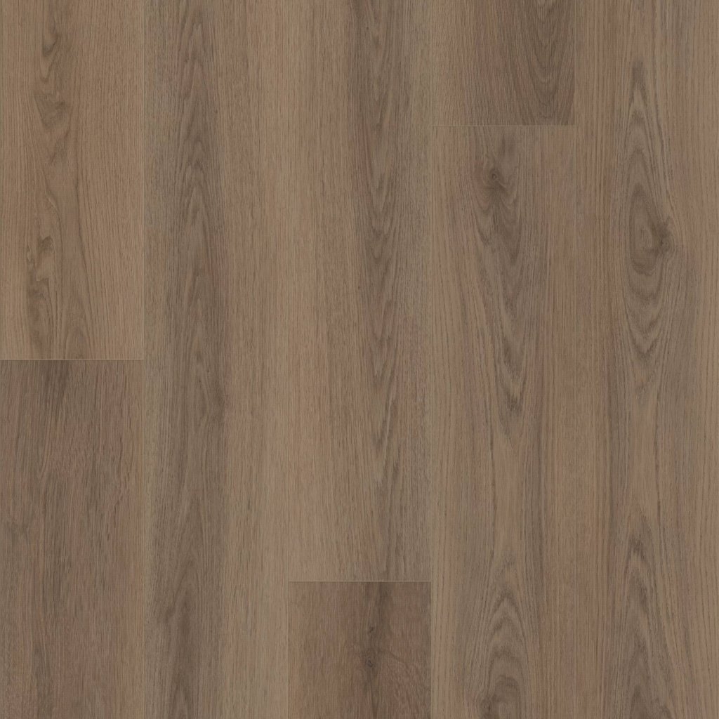 Shaw Floors HOMEBOUND - Mocha