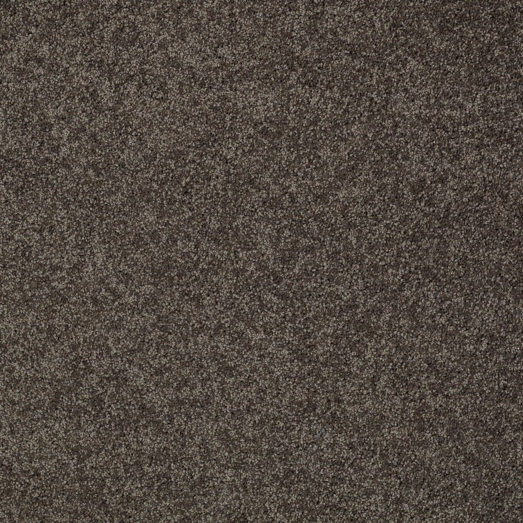 Shaw Floors Inspired By Ii - Chocolate
