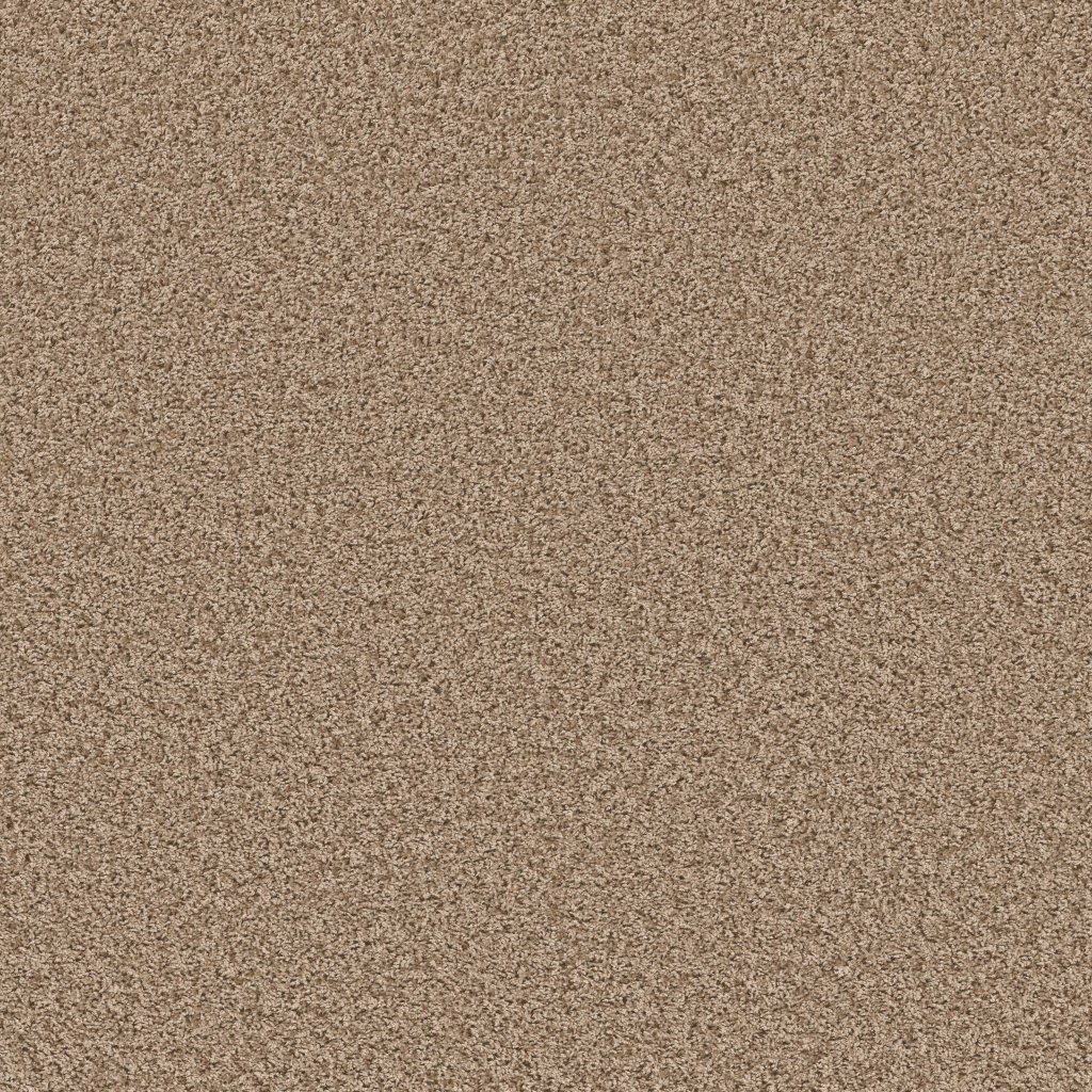 Shaw Floors Color Flair - Toast
