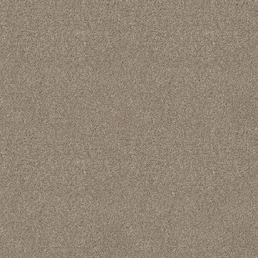 Shaw Floors Ocean View - Mushroom