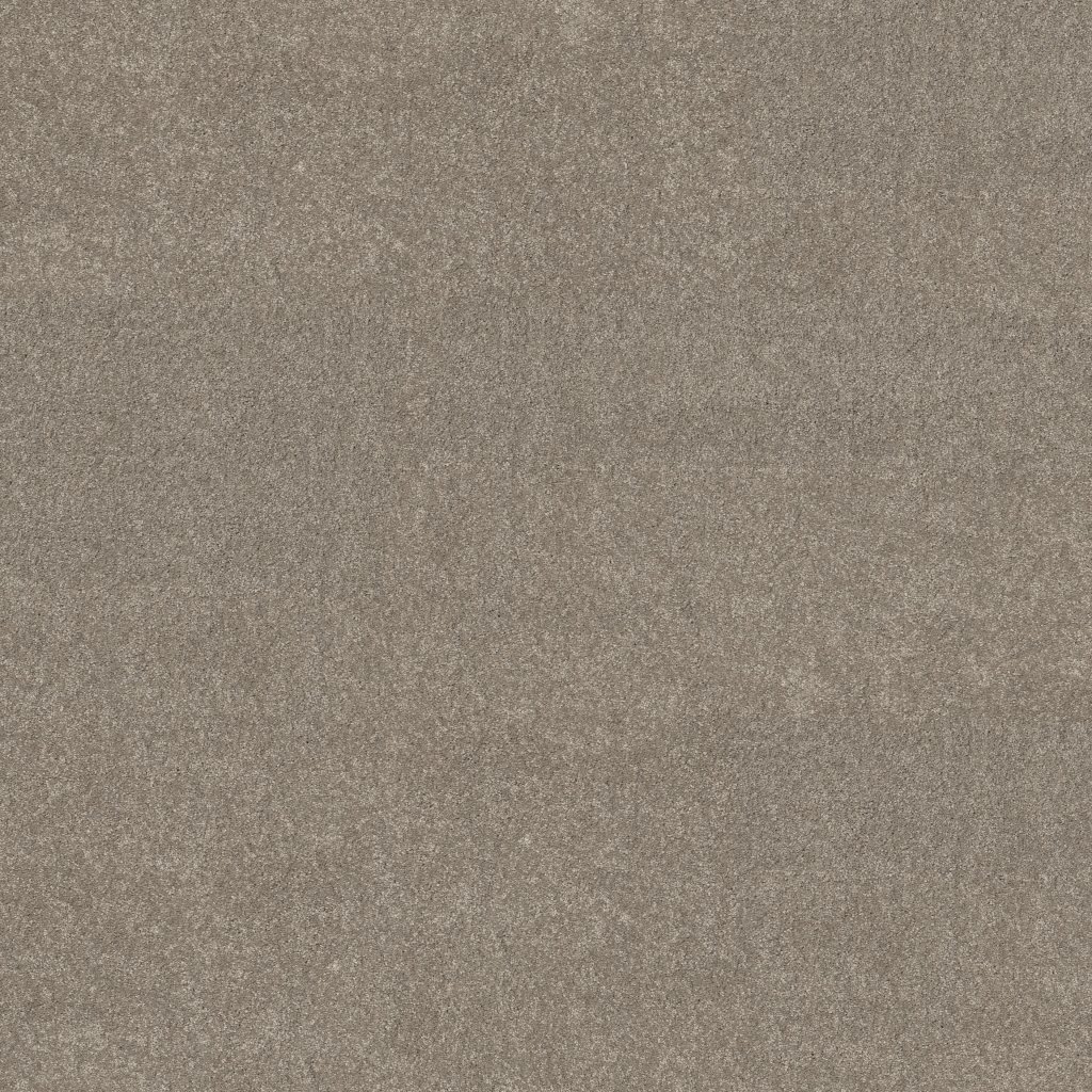Shaw Floors Basic Rules - Flax
