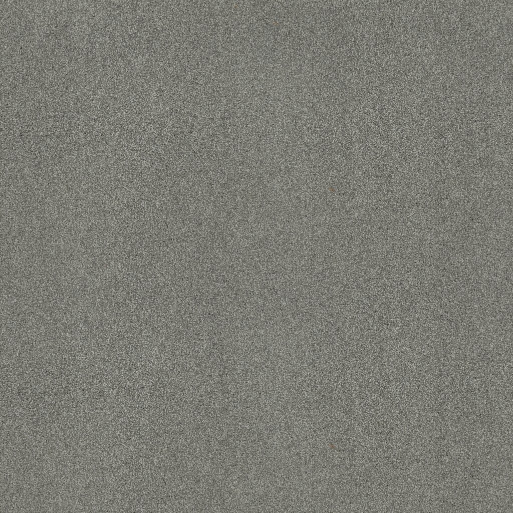 Shaw Floors Always Mine - Classic Stone