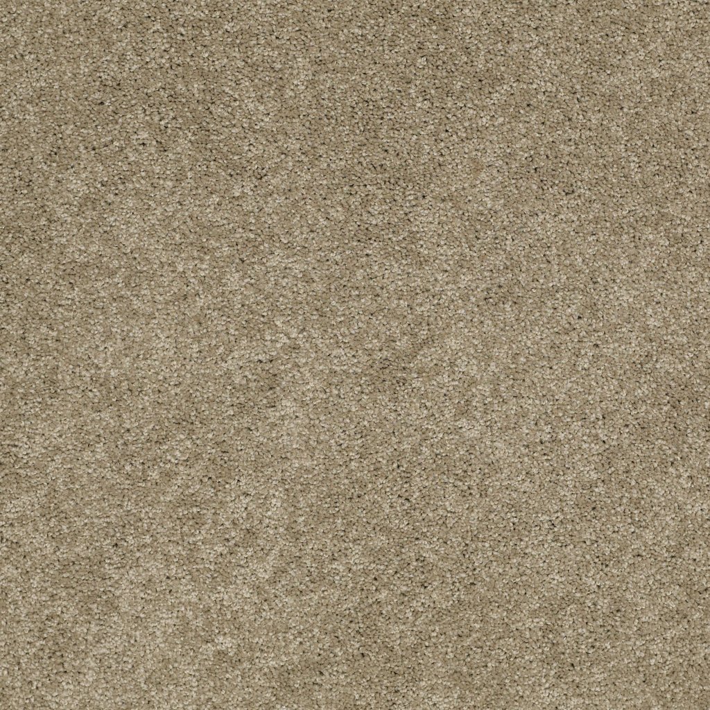 Shaw Floors Salina I - Dusk