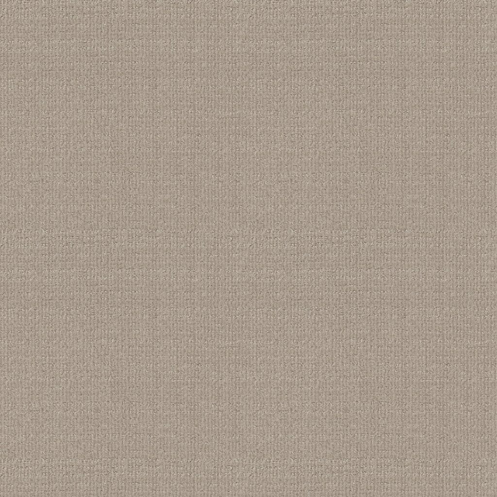 Shaw Floors Sensible Now - Studio Taupe