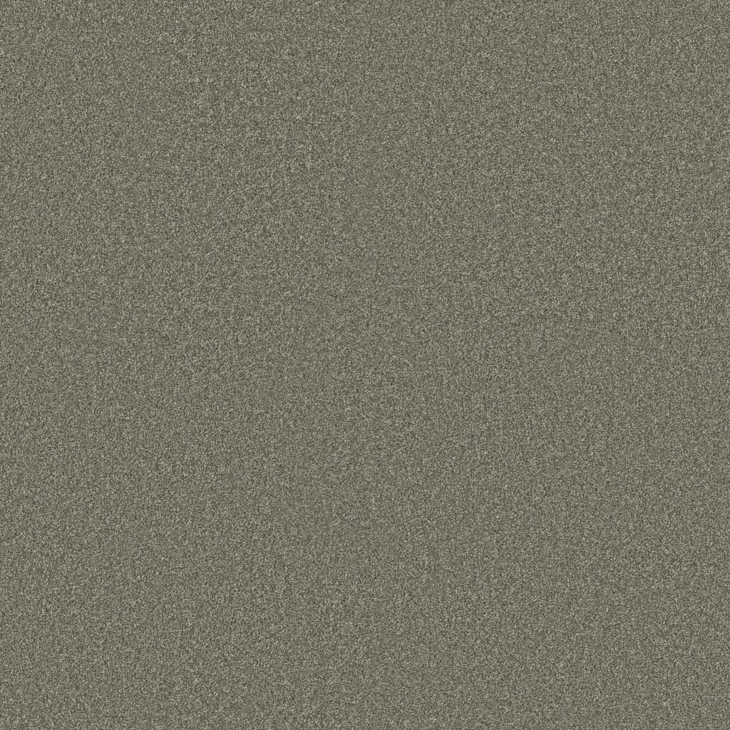 Shaw Floors Classic Tone - Olive Tree