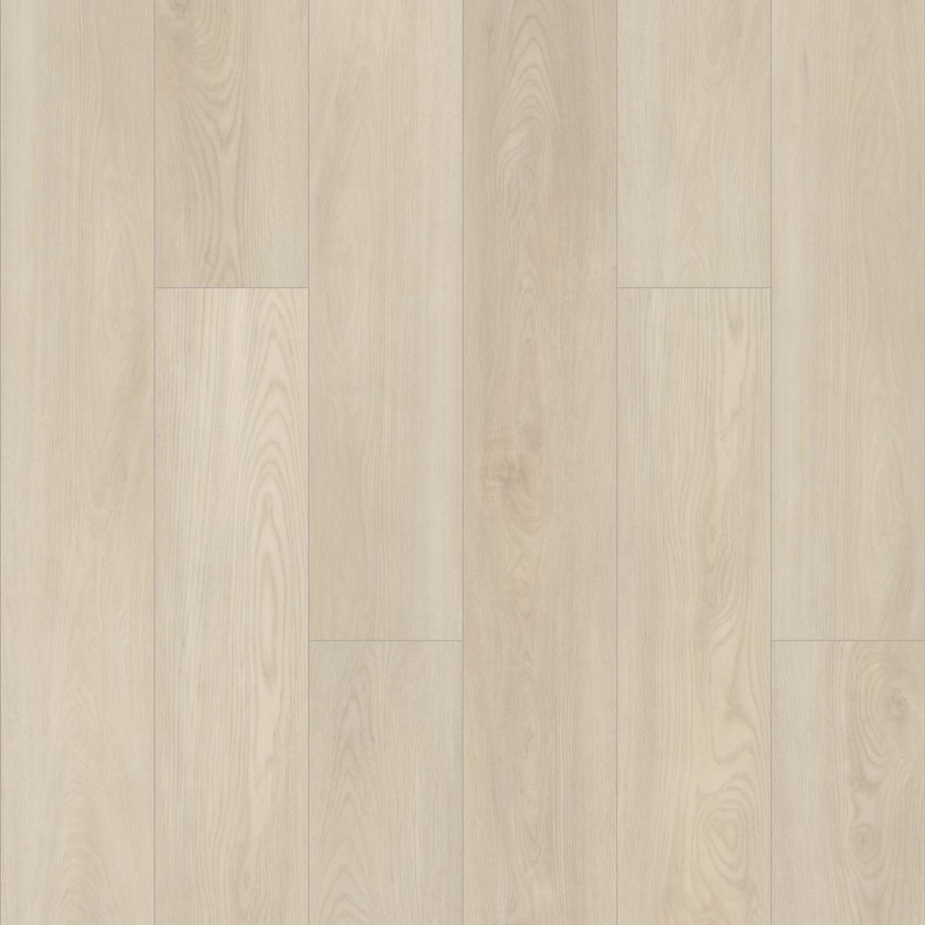 Shaw Floors Paladin Plus - Silver Dollar