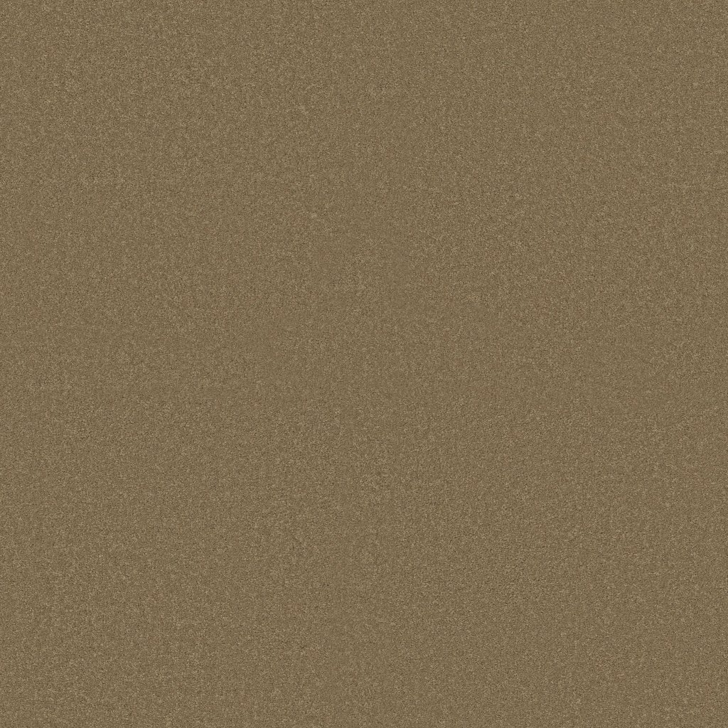 Shaw Floors Ultimate Expression 15' - Mojave