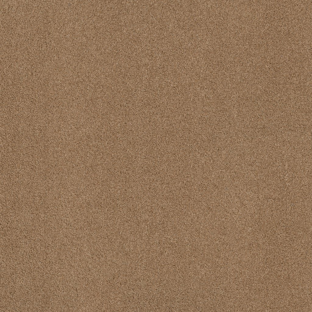 Shaw Floors Always Mine - Saddle