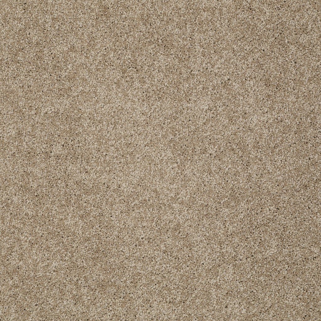 Shaw Floors Inspired By Ii - Cappuccino