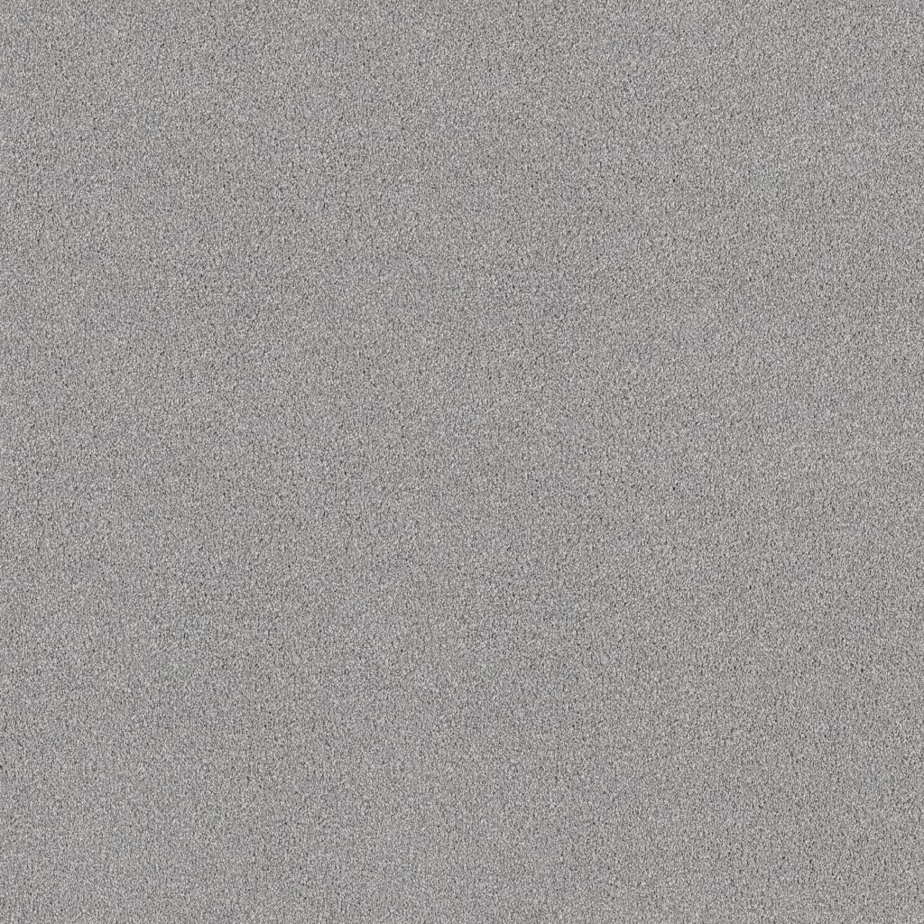 Shaw Floors Tonal Comfort I - Polished Silver