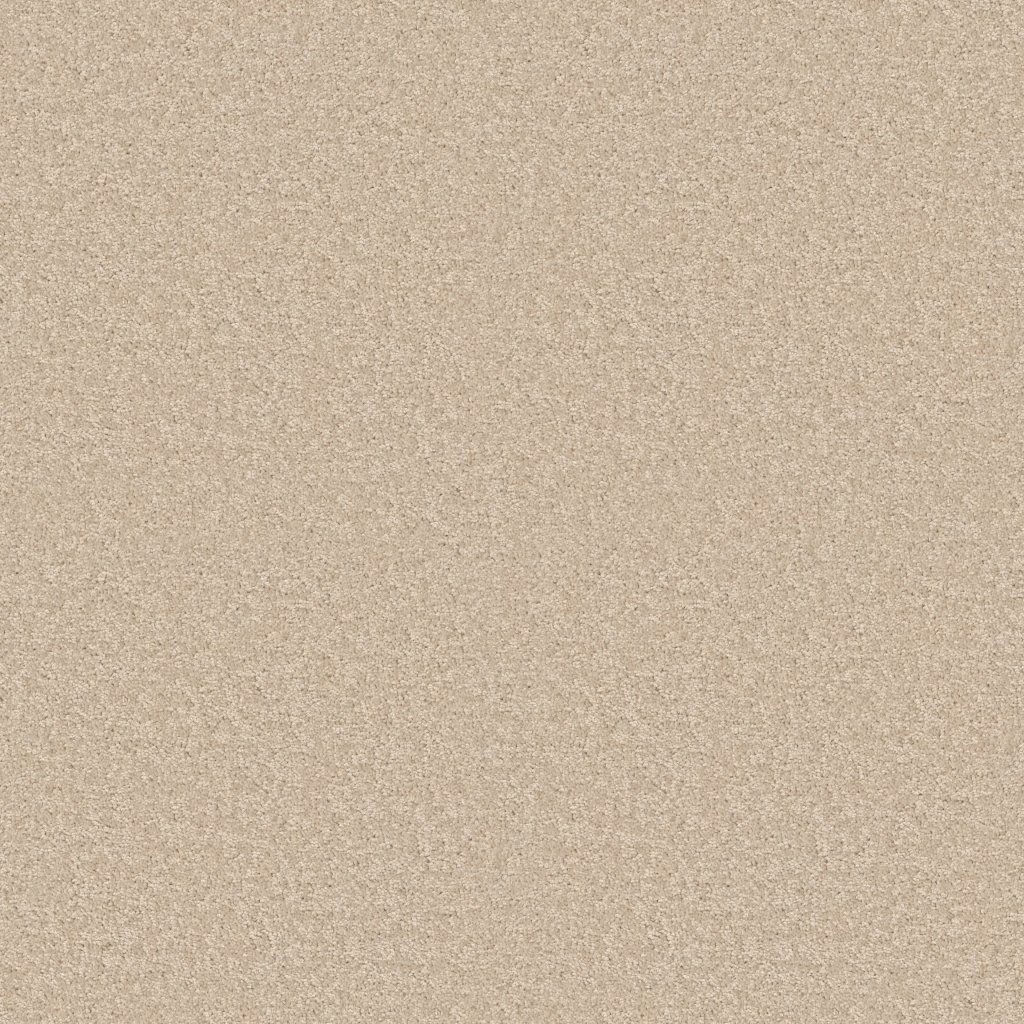 Shaw Floors Essay II 15' - Cloud