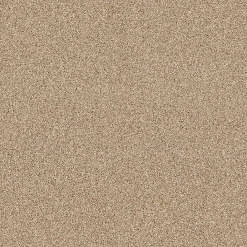 Shaw Floors Enduring Comfort I - Mesa