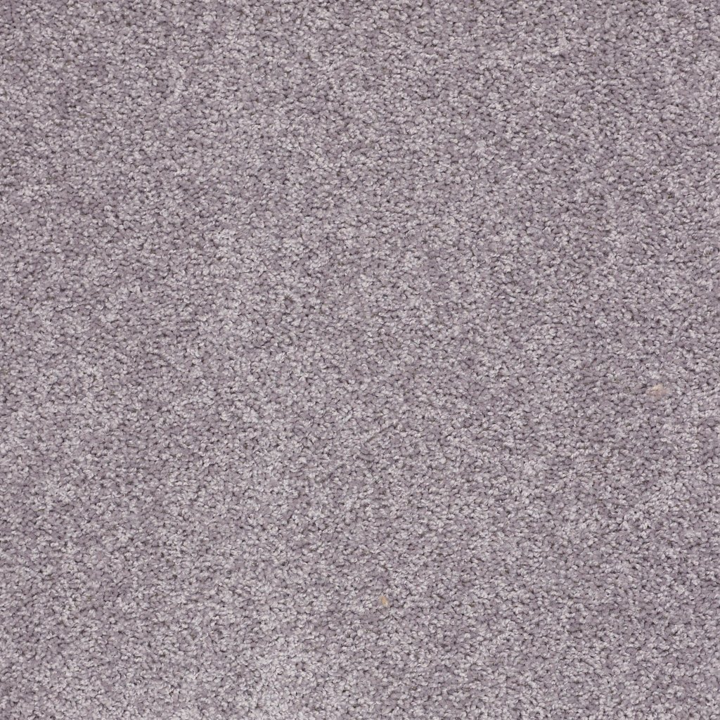 Shaw Floors Royal Portrush I 15' - Ink Spot