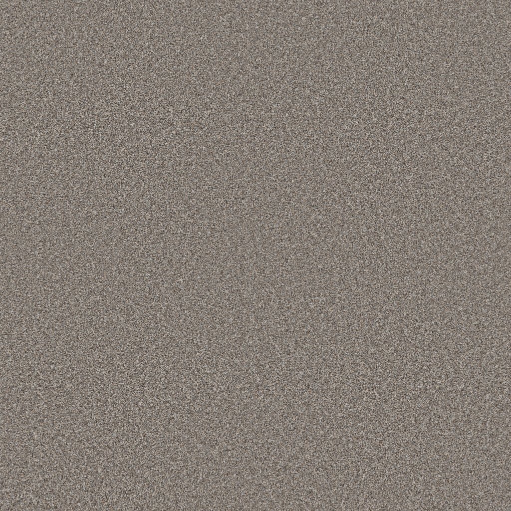 Shaw Floors Wonderland III 12' - Pier