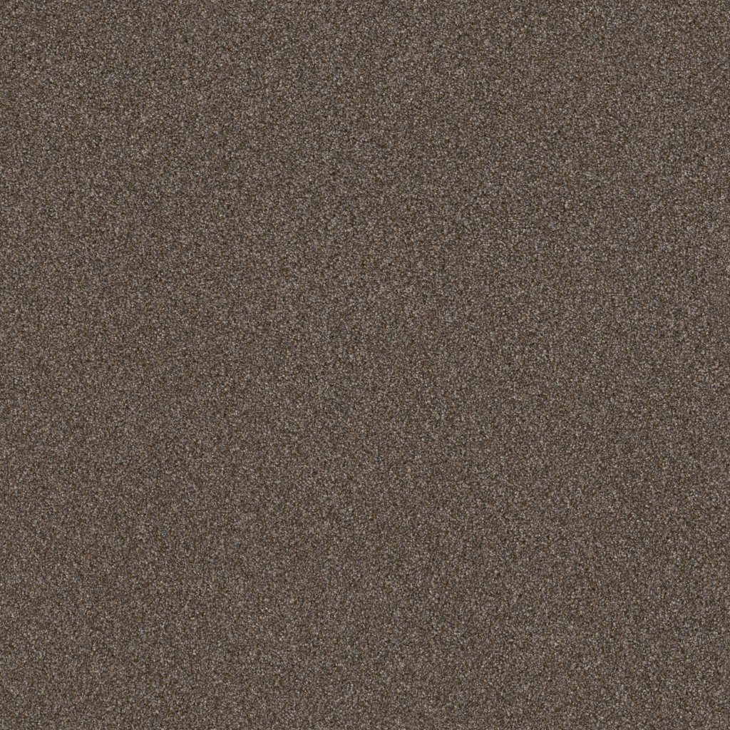 Shaw Floors Right Choice - Raw Wood