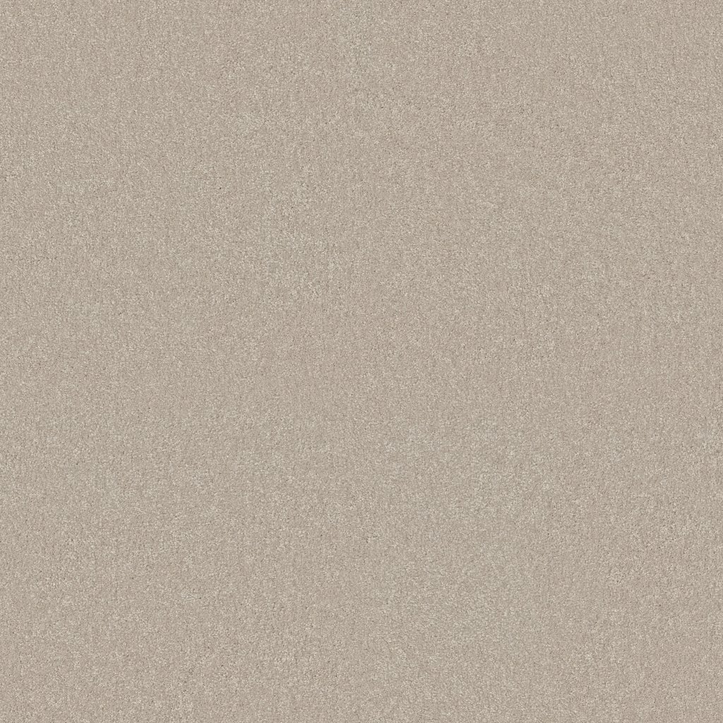 Shaw Floors YOU KNOW IT - Mist