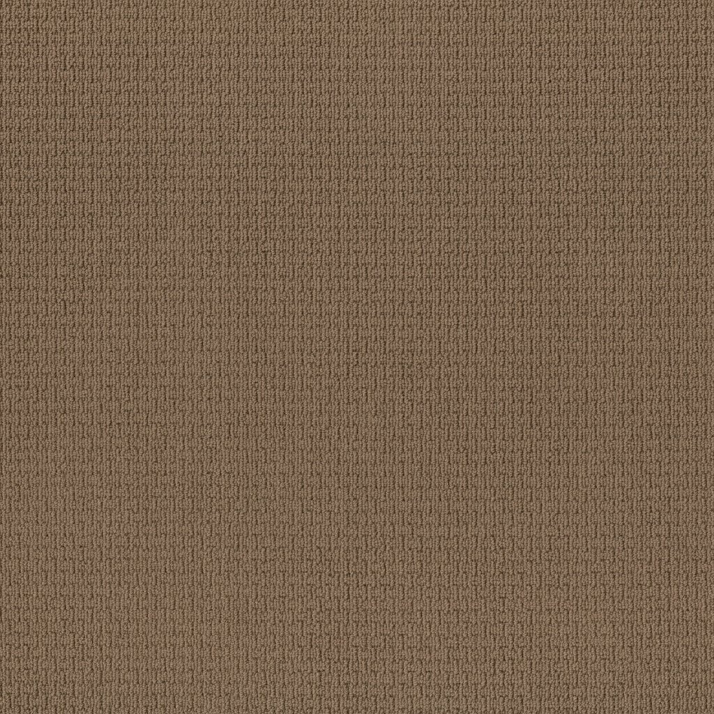 Shaw Floors Space Line - Buckaroo