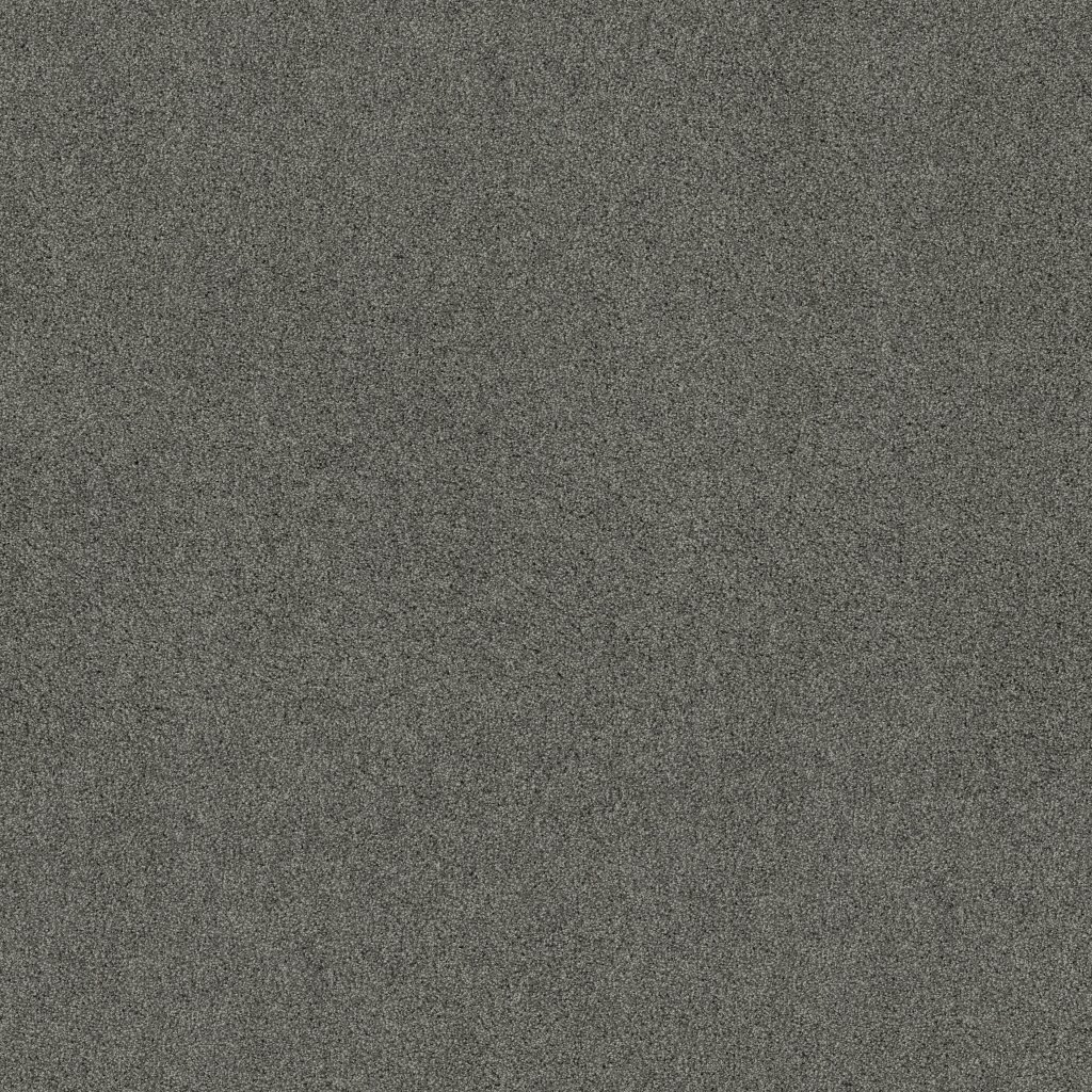 Shaw Floors Always Mine - Mineralite