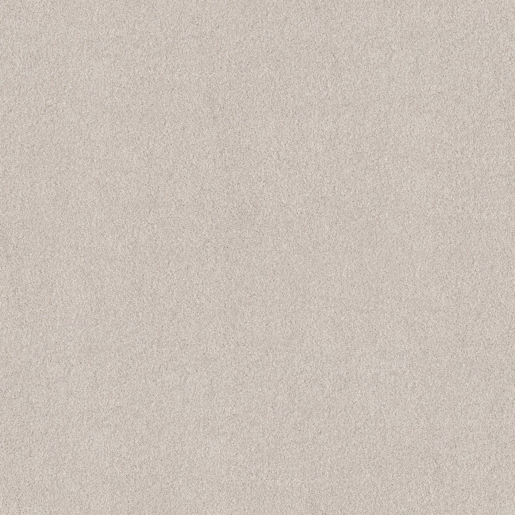 Shaw Floors Blended Touch II - Kashmir White