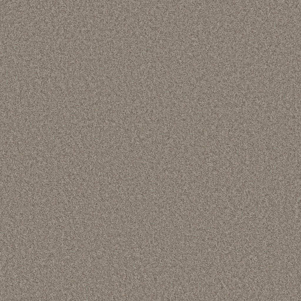 Shaw Floors Del Rio I - Driftwood