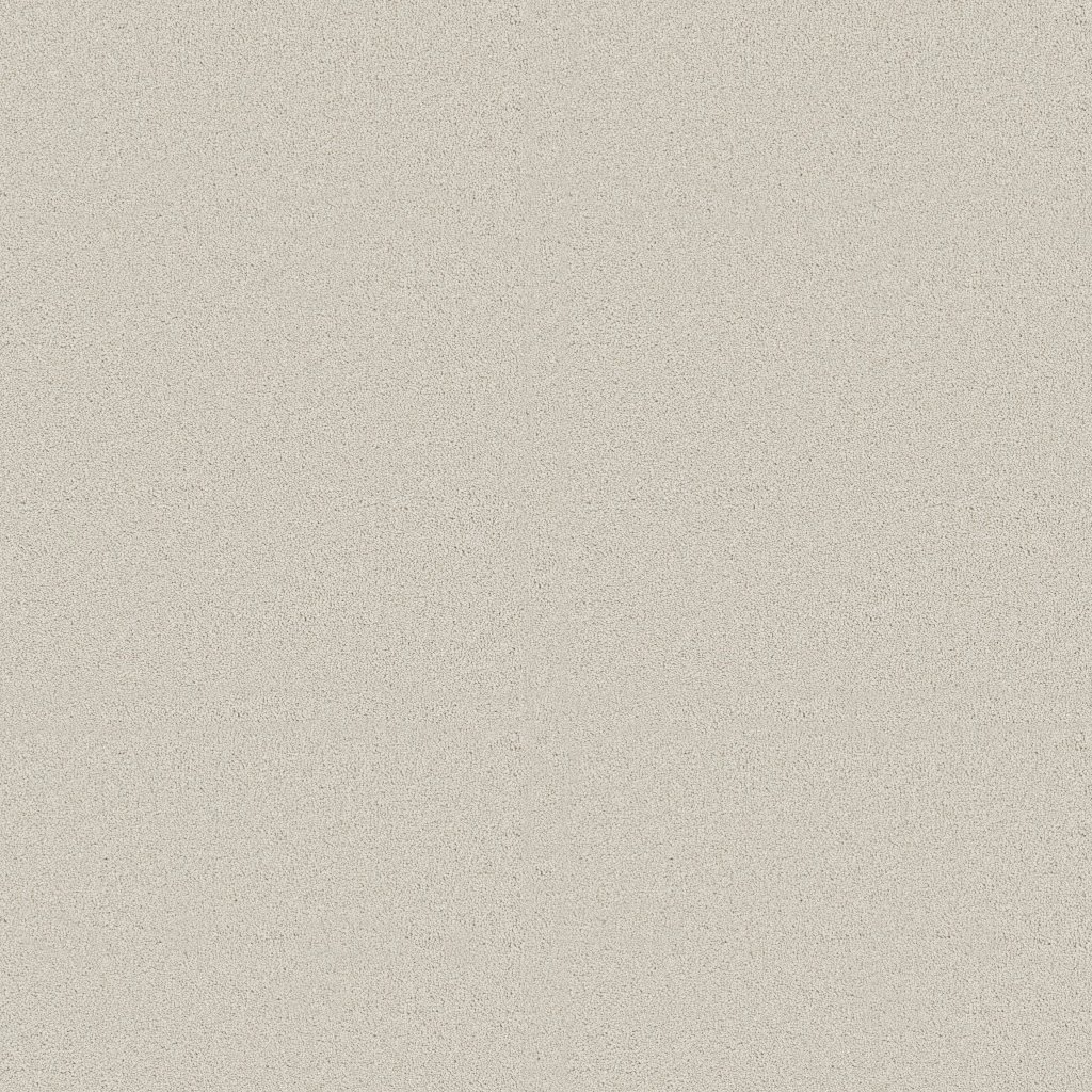 Shaw Floors Classic Tone - Minimalist