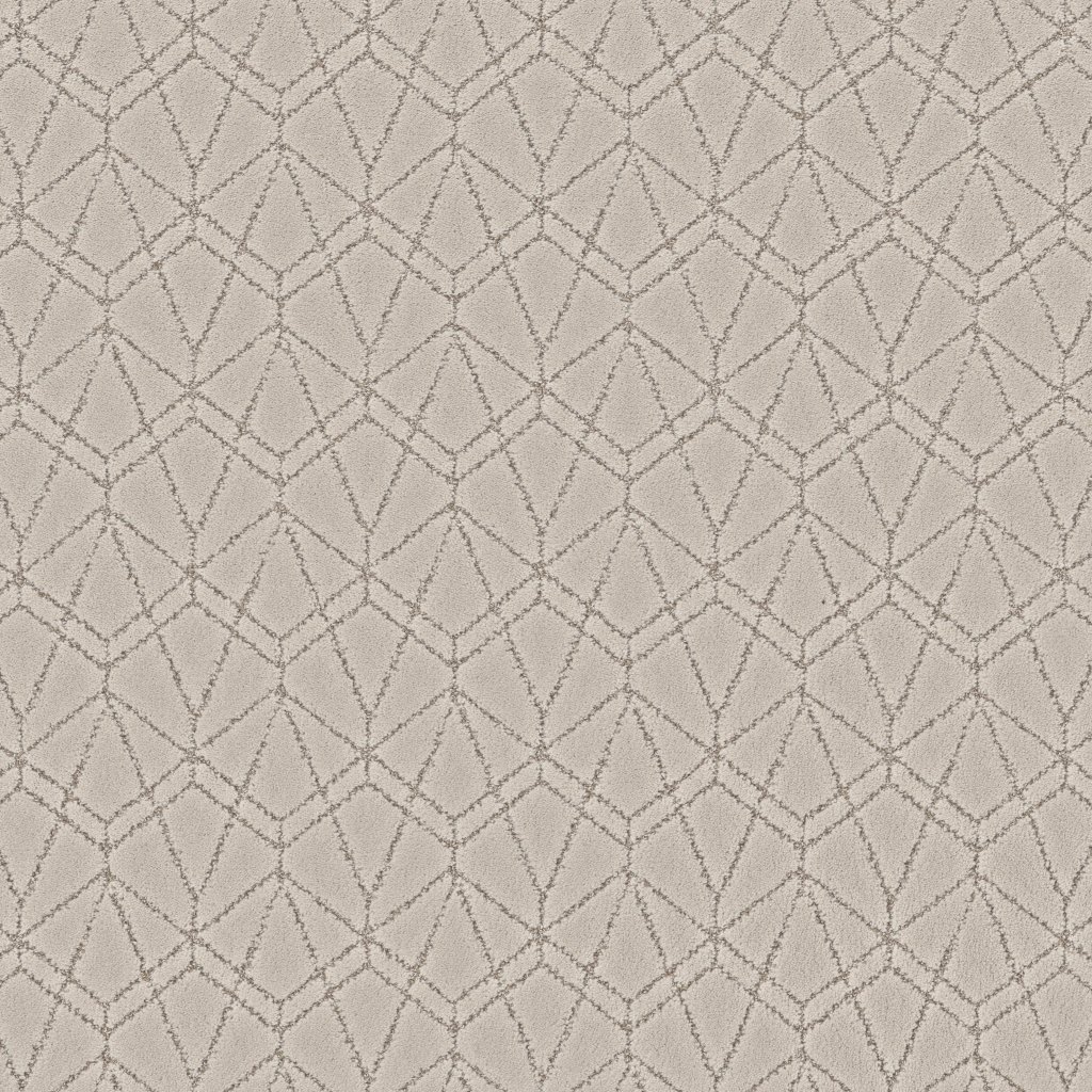 Shaw Floors Point Of View - Soft Sense
