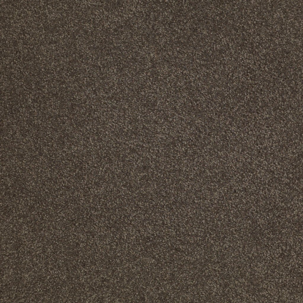 Shaw Floors Shingle Creek IV 12' - Arrowhead