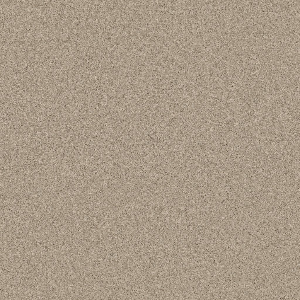 Shaw Floors Velvet Touch I - Chic Greige