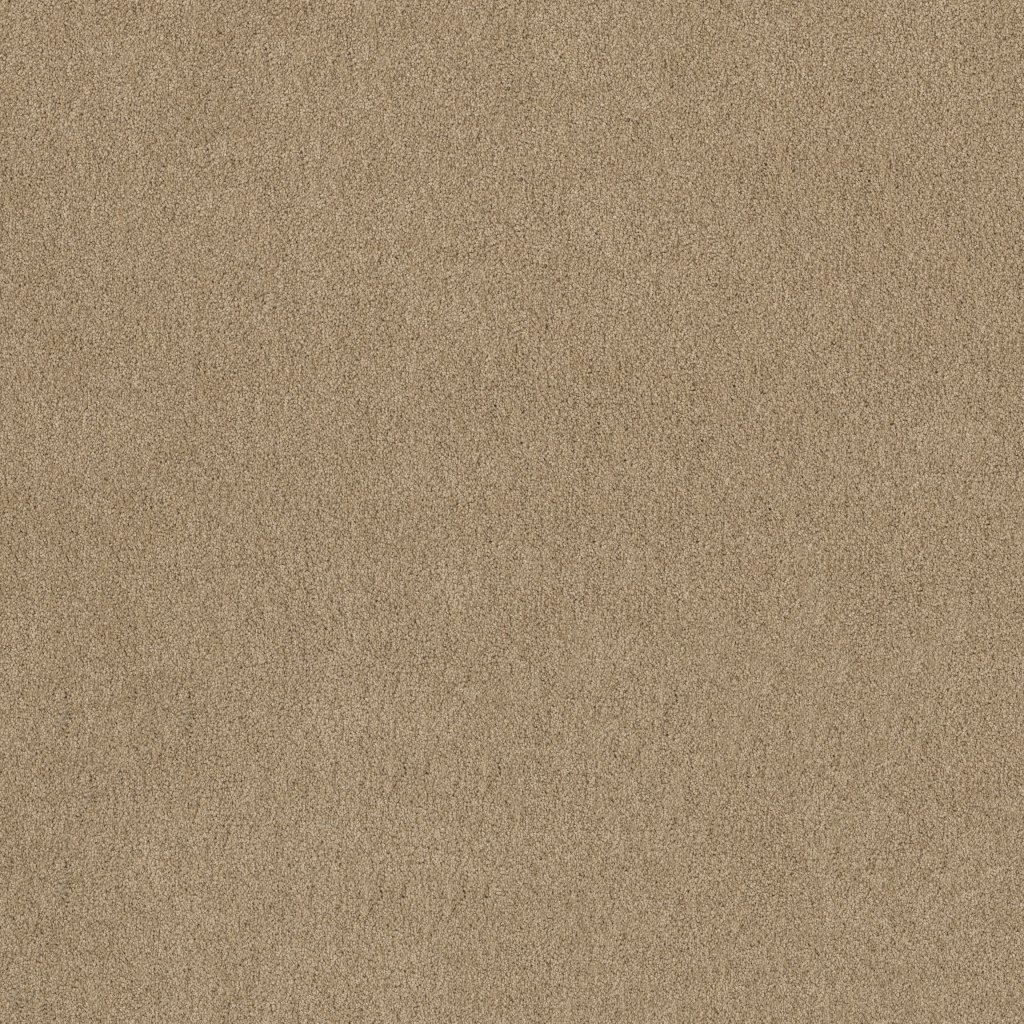 Shaw Floors Salina I - Humus