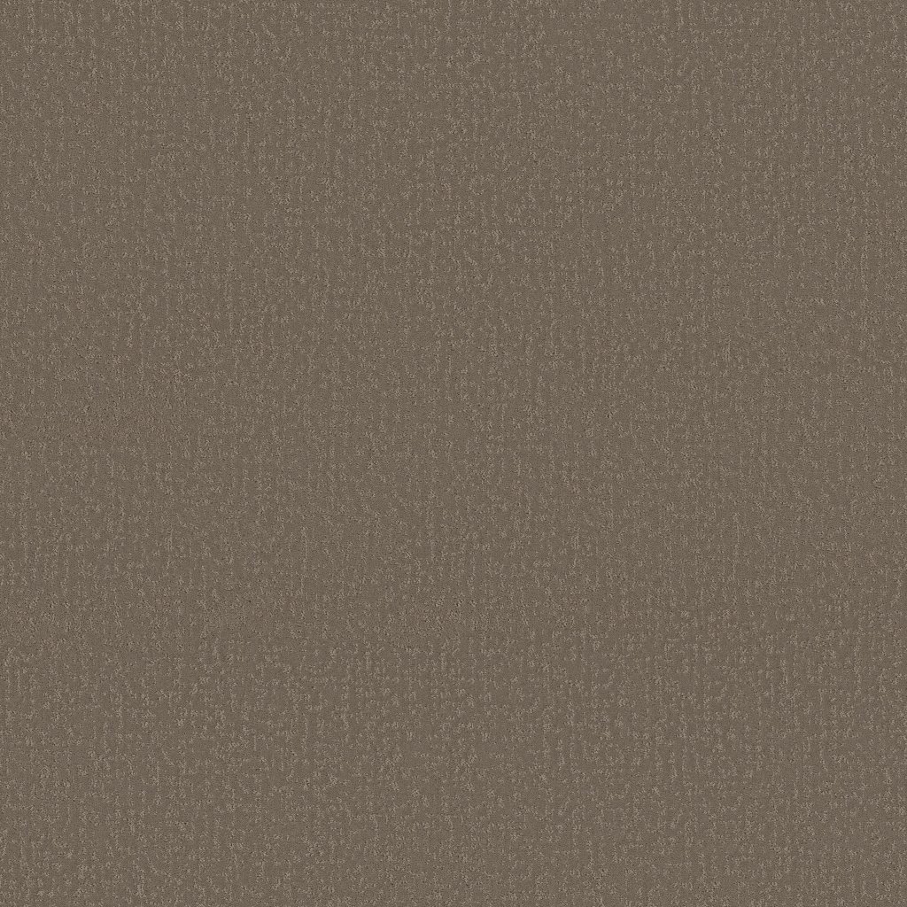 Shaw Floors Crafted Tone - Ridgeline