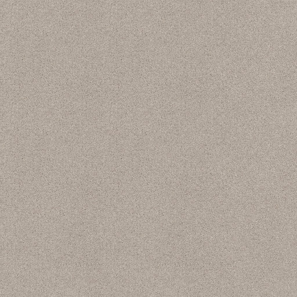 Shaw Floors Tonal Comfort I - Need A Hug