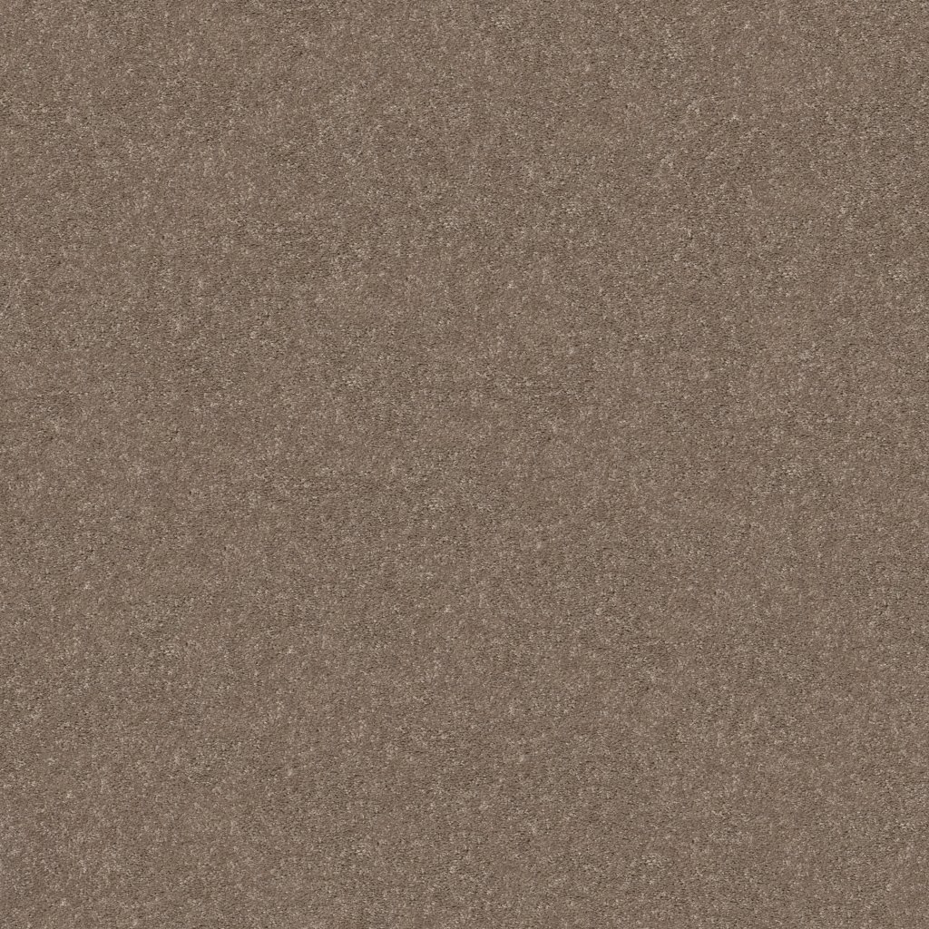 Shaw Floors Smooth Talk II - Cedar Key