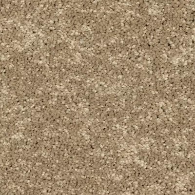 Mohawk Refined Delight III - Turnstone