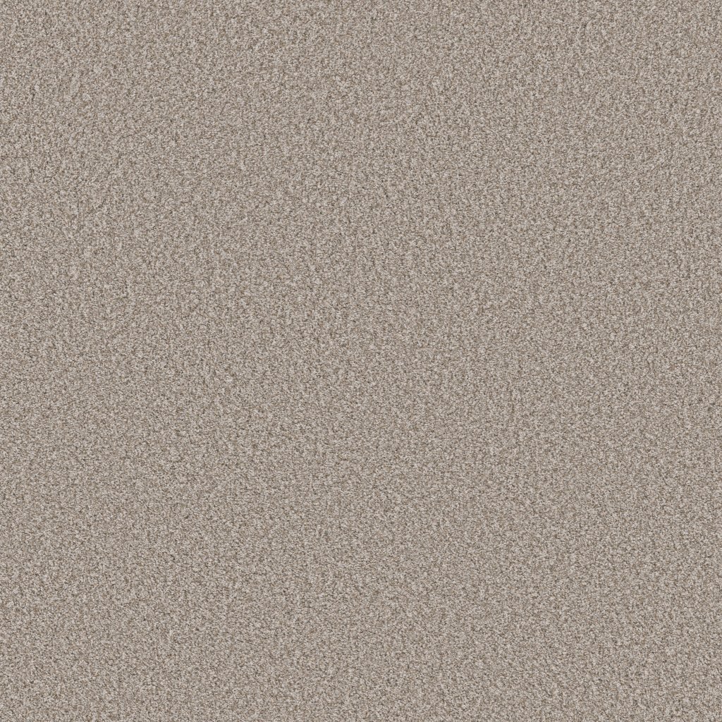 Shaw Floors Tweed Comfort II - Mellow