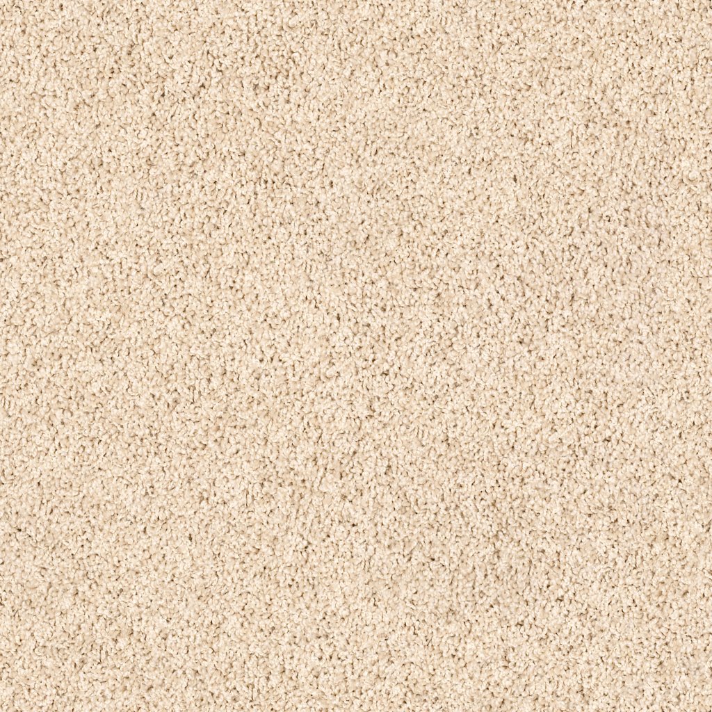 Shaw Floors XV854 - Anonymous