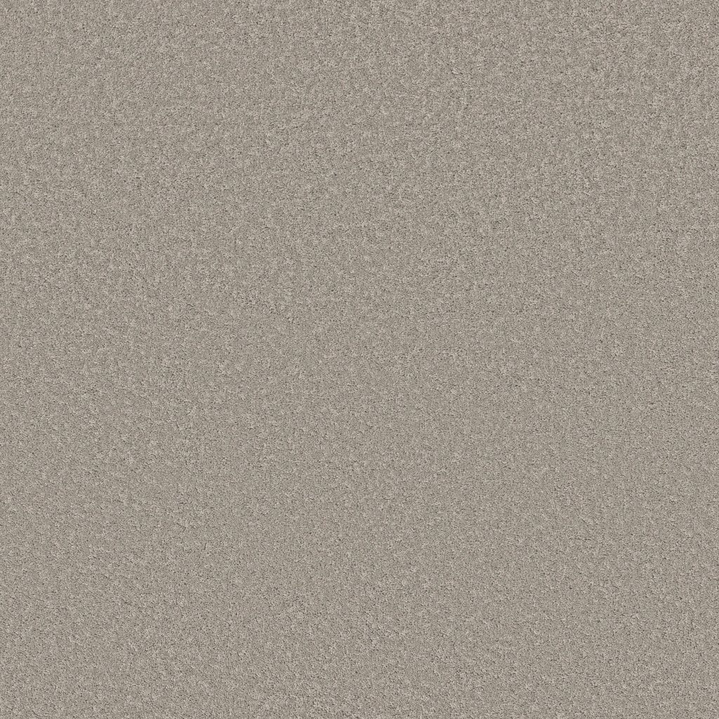 Shaw Floors New Memories S - Still Gray