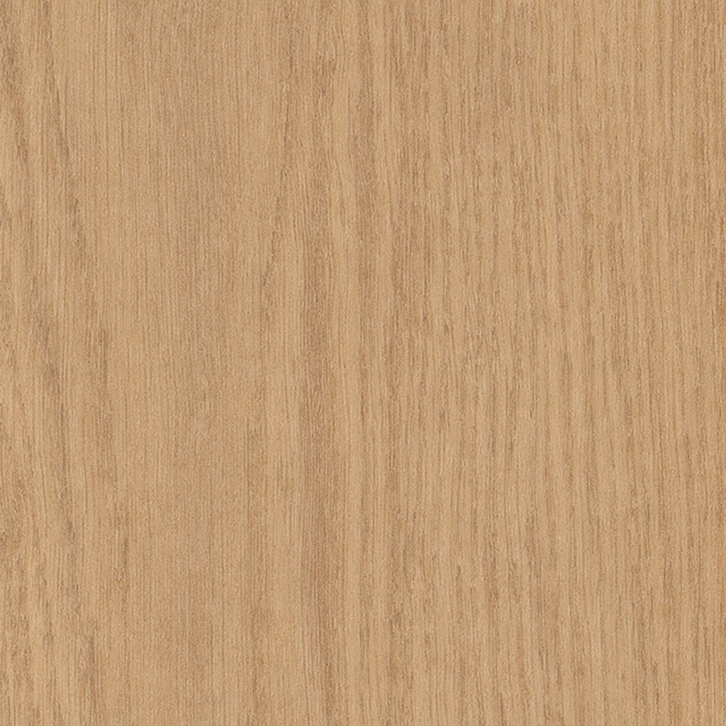 Philadelphia Commercial Willow Oak 12m - Golden Oak