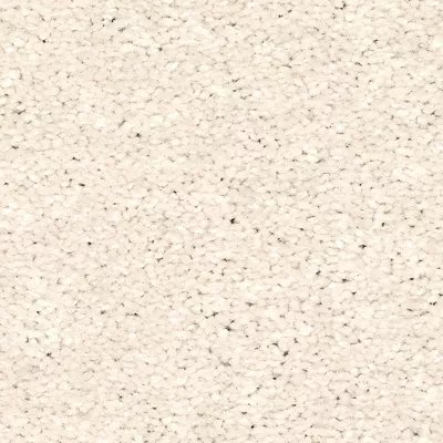 Mohawk Quality Living II - Ice Fox